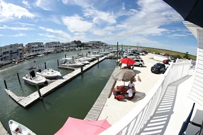 Larsen's Marina