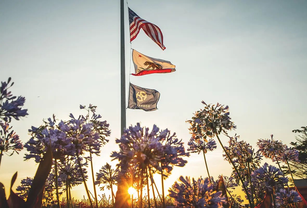 Safe Harbor Emeryville