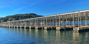 Marshall Ford Marina