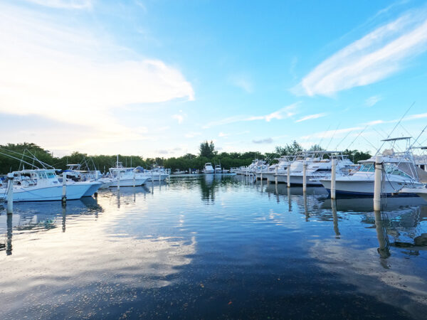 Cangrejos Yacht Club