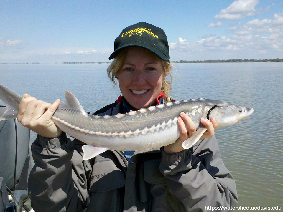 Tiki Lagun Resort And Marina