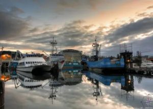 Pacific Fishermen Inc