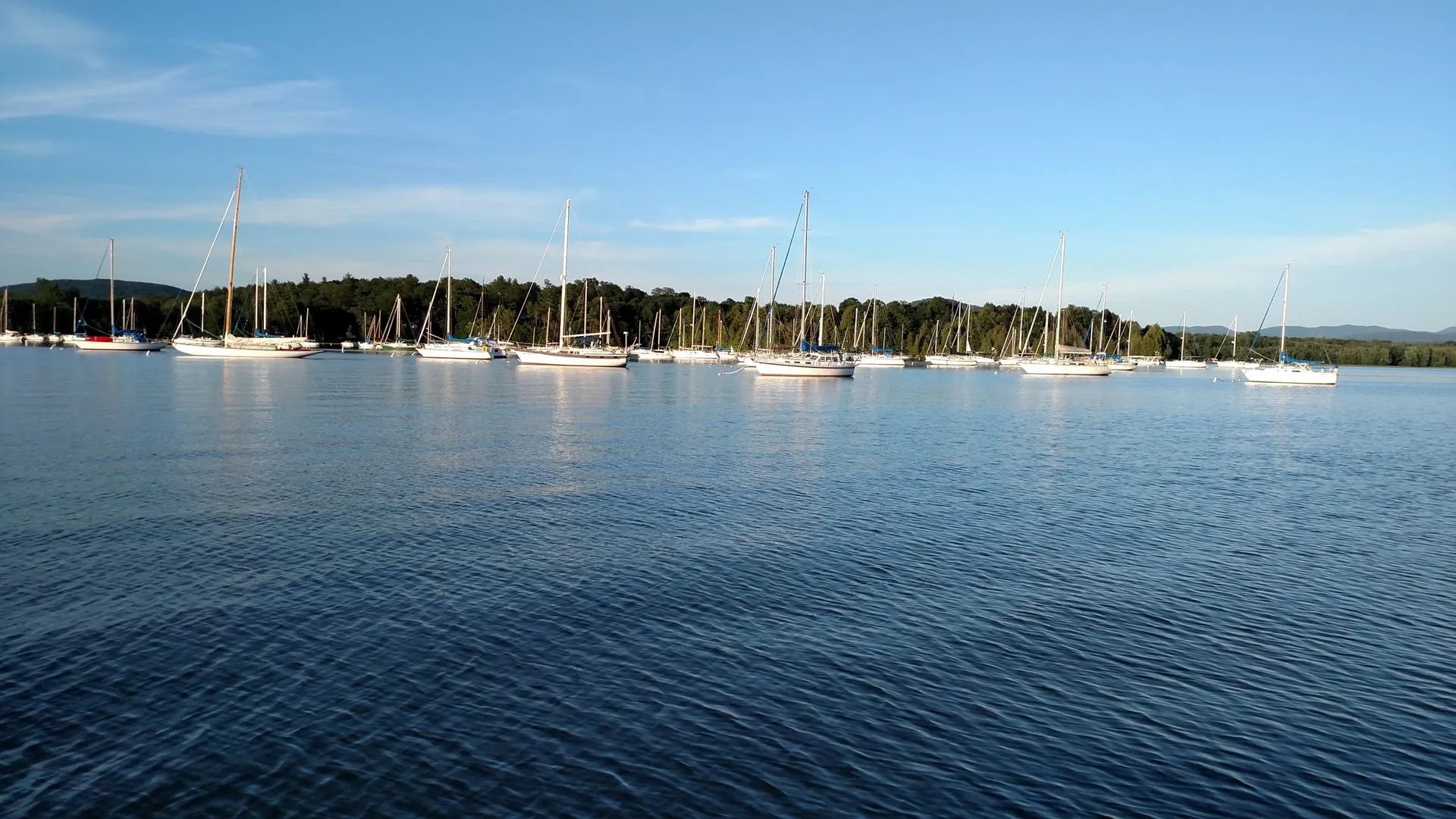 Point Bay Marina