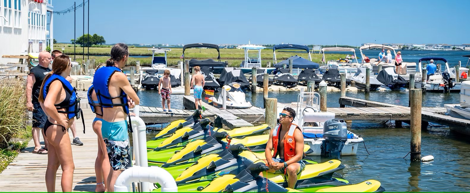 Sharks Cove Marina