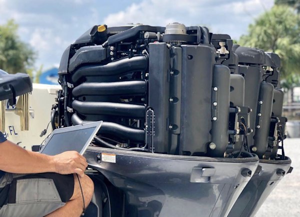 Pirate's Cove Marina