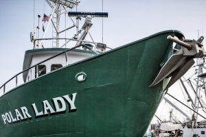 Covich Williams Fuel Dock