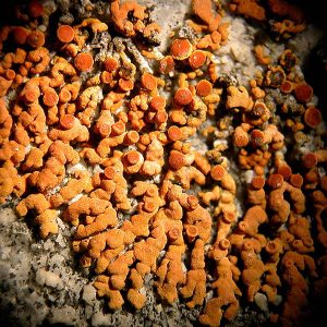 Black River Park Marina