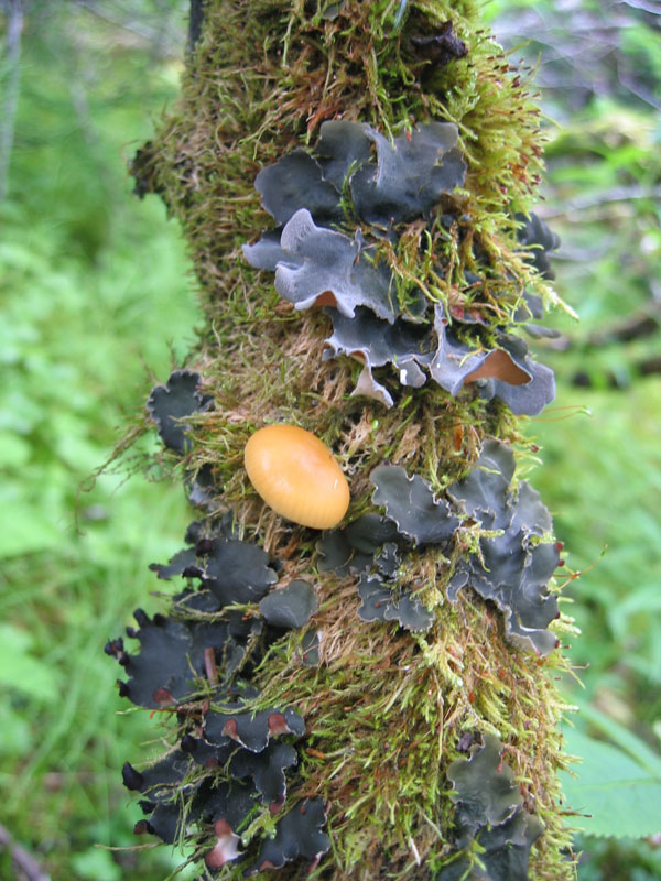 Black River Park Marina
