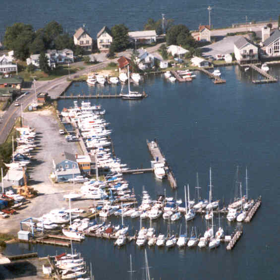 Harbor Island Marina