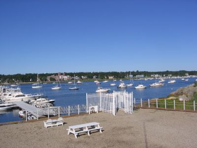 Cove Marina