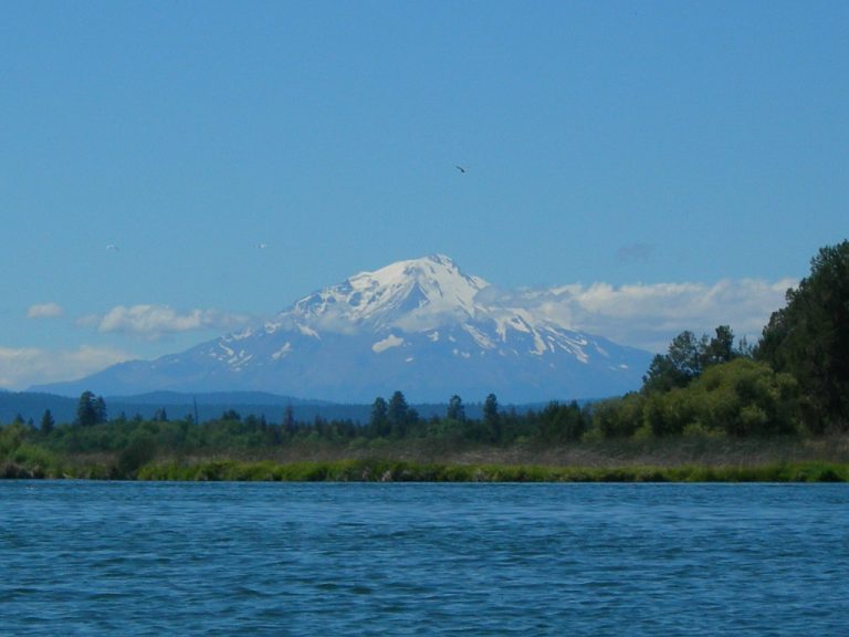 Delta Vista Berthing Area