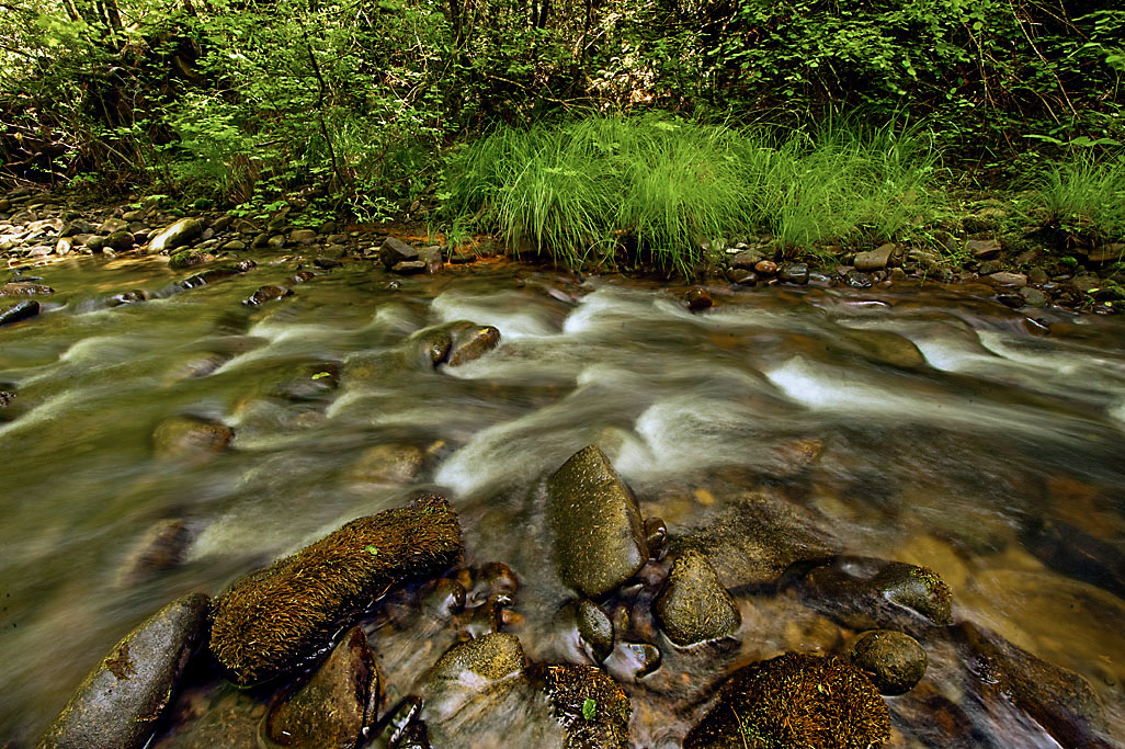 Delta Vista Berthing Area