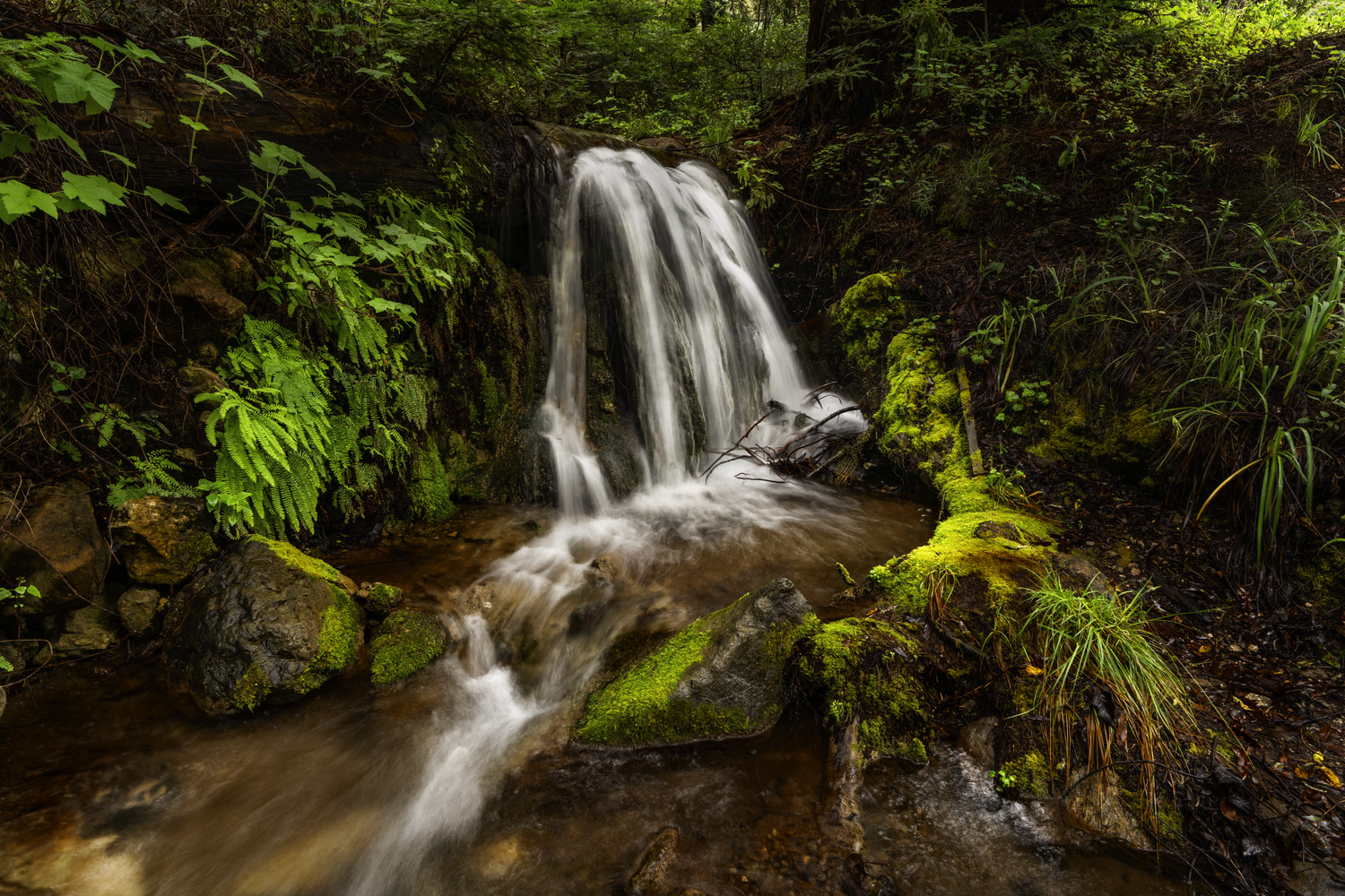 Delta Vista Berthing Area