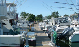 Burnett's Marina