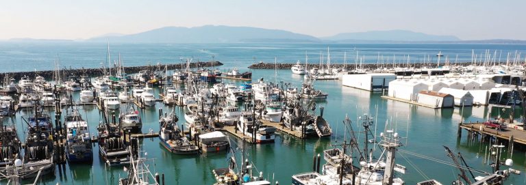 Squalicum Harbor West