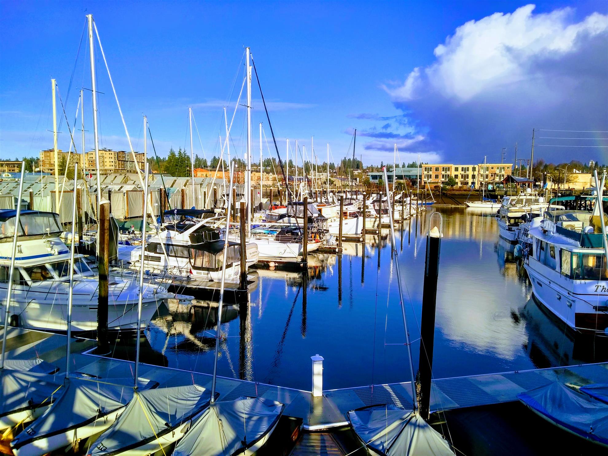 Olympia Yacht Club