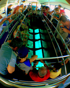 John Pennekamp Coral Reef State Park Marina