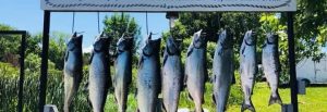 Bayside Marina