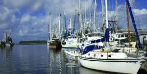 Ray's Creekside Marina