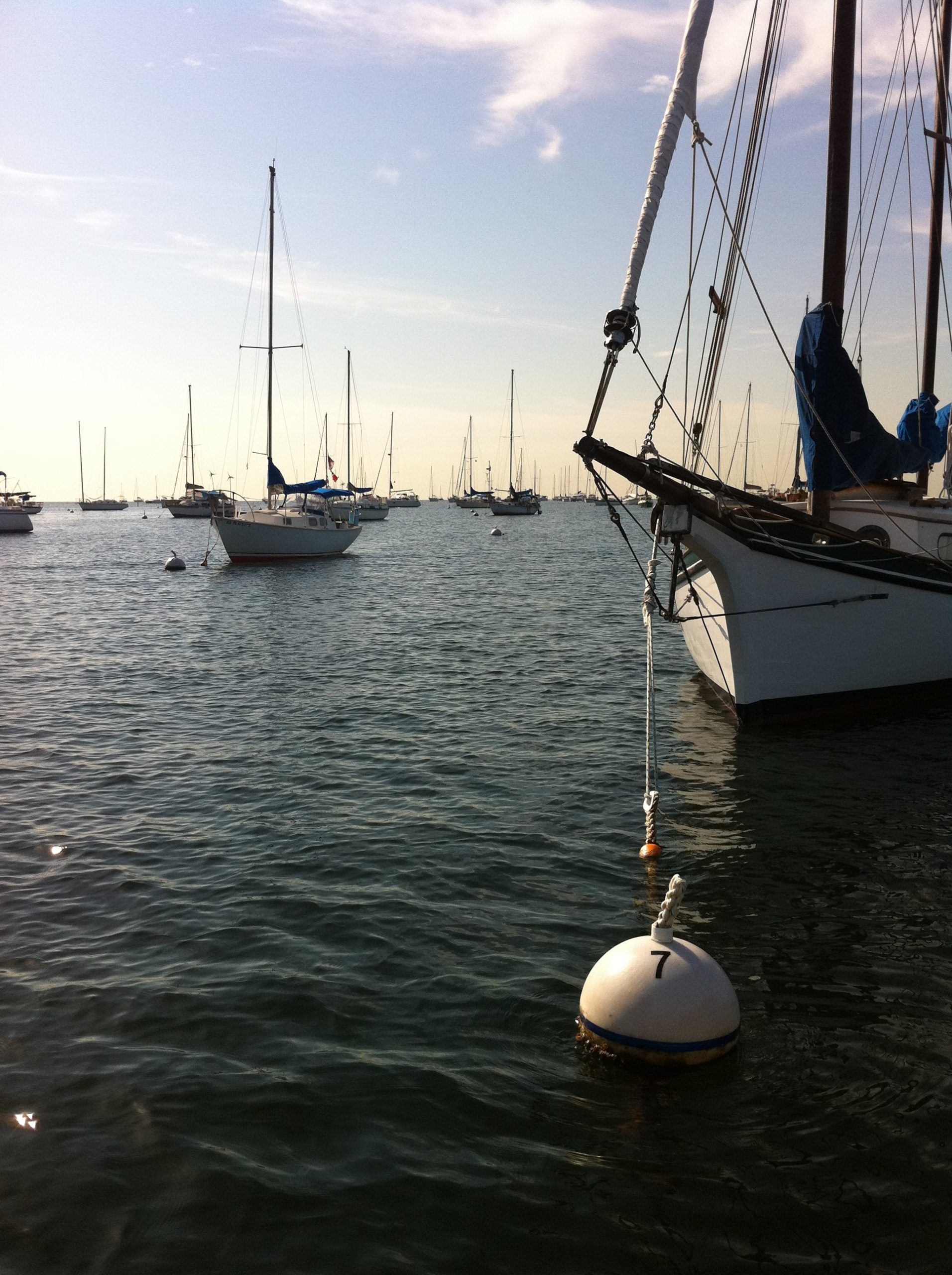 Dinner Key Marina