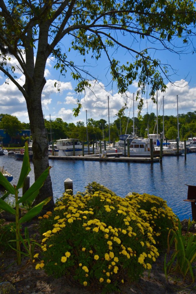 Wilmington Marine Center