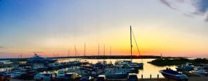 Halsey's Marina