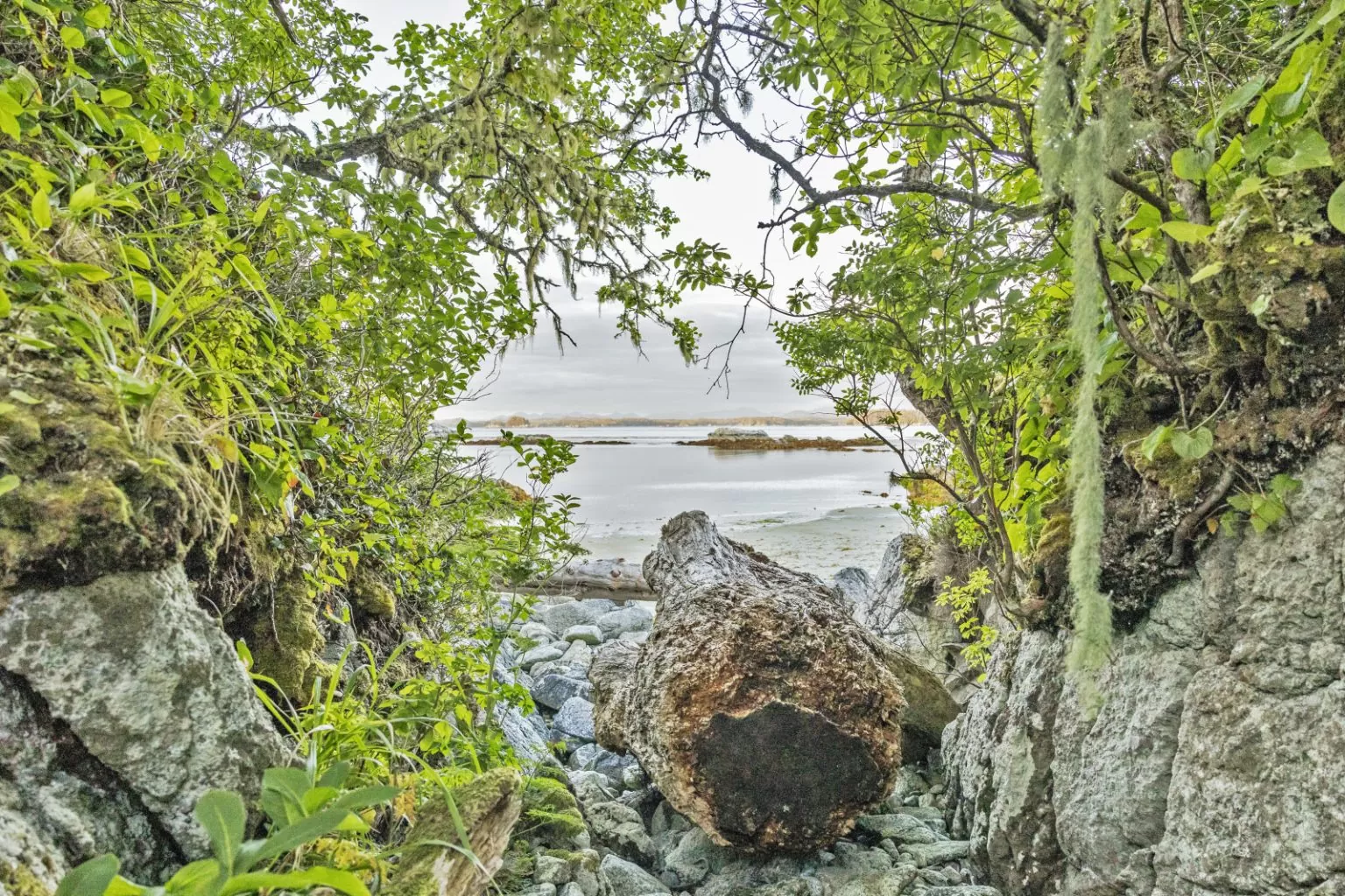 Shearwater Resort And Marina