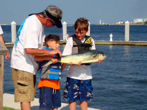 Morningstar Marinas - Eaton Ferry Marina