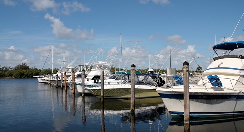 Matheson Hammock Marina
