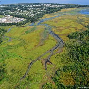 Hampton's Landing Marina