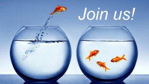 Lake Townsend Yacht Club