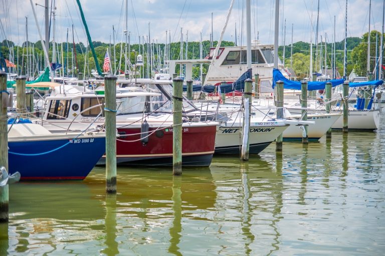 Paradise Marina