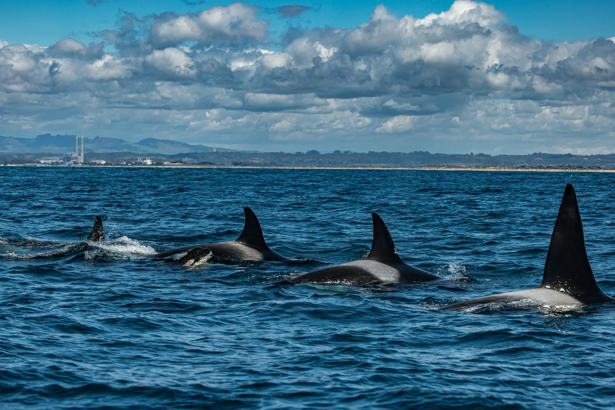 Moss Landing Harbor District