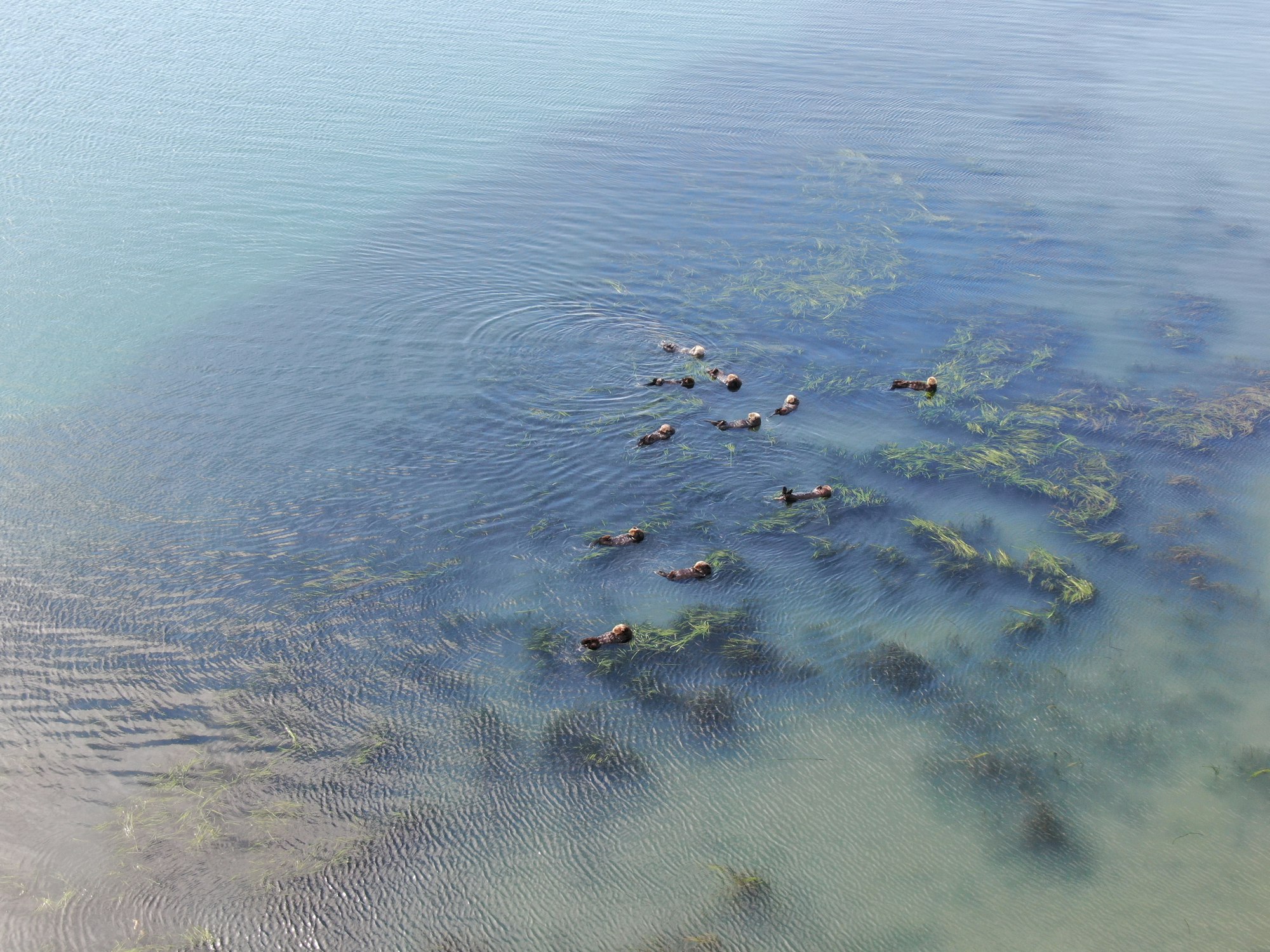 Moss Landing Harbor District