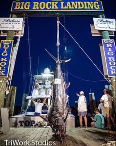 Morehead City Yacht Basin