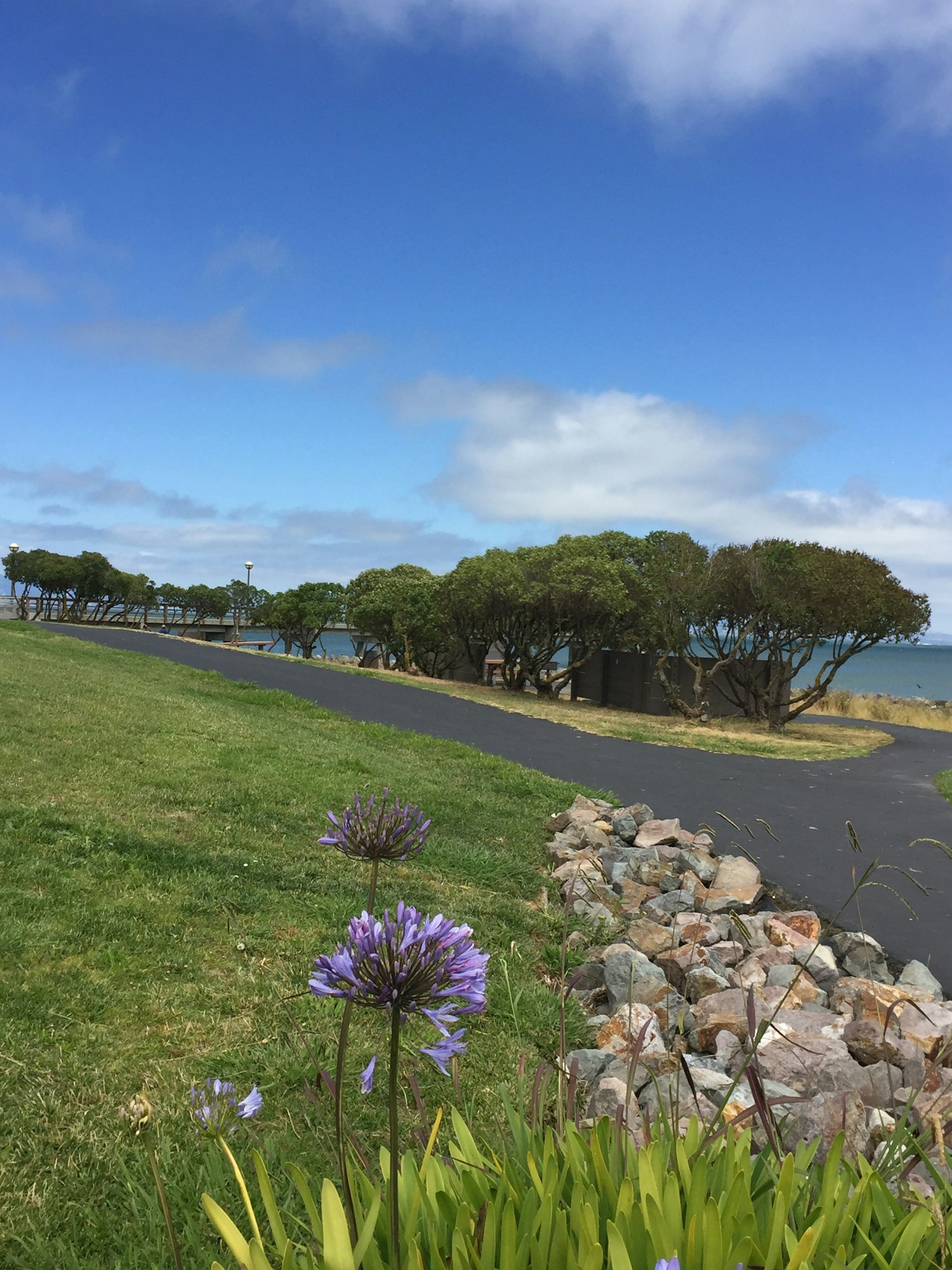 Pillar Point Harbor
