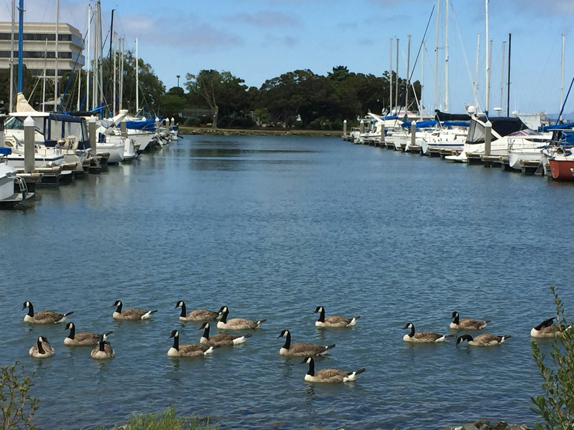 Pillar Point Harbor