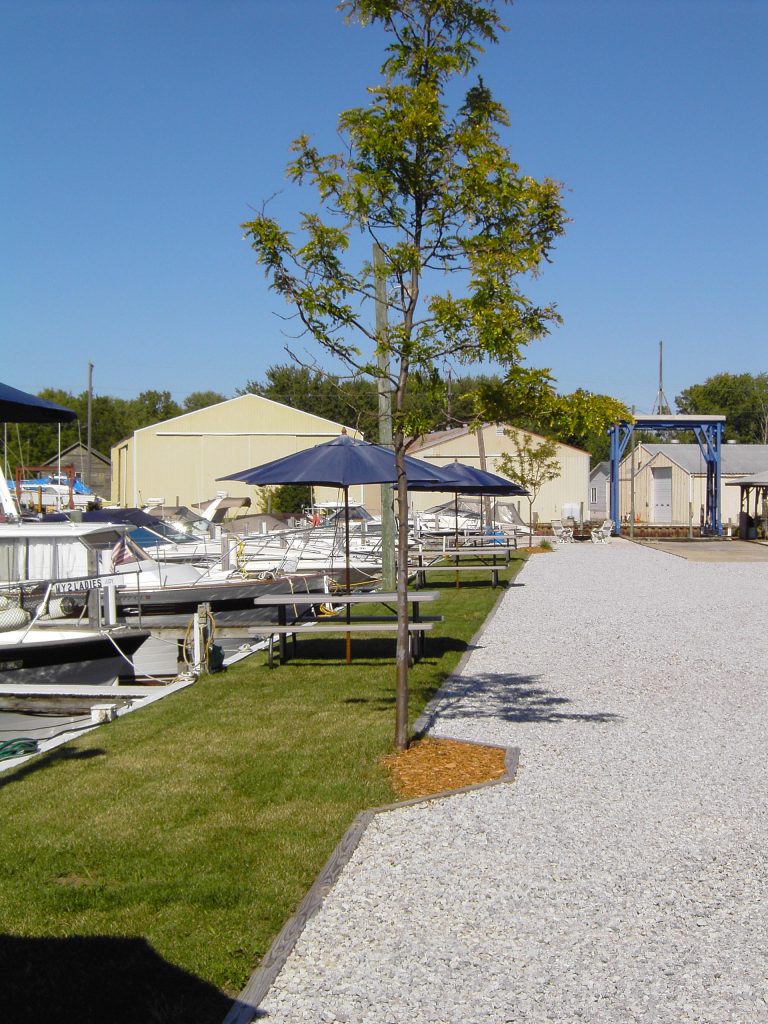 Swan Creek Harbour