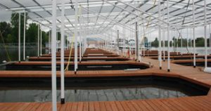 Mccuddy's Big Oak Marina