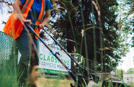 Gladstone Municipal Marina