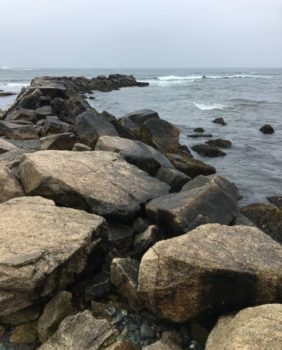 Safe Harbor Harbortown
