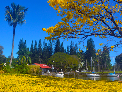 Wailoa Sampan Basin Harbor