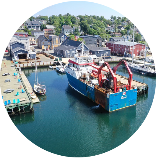Ocean Gear Marina