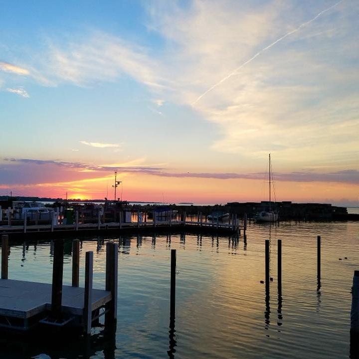 Shrock's Marina