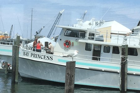 Lynnhaven Seafood Marina