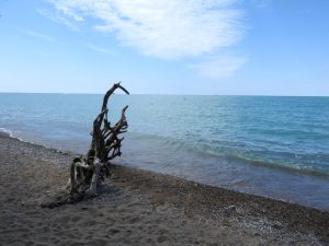 Village Of Bayfield Marina