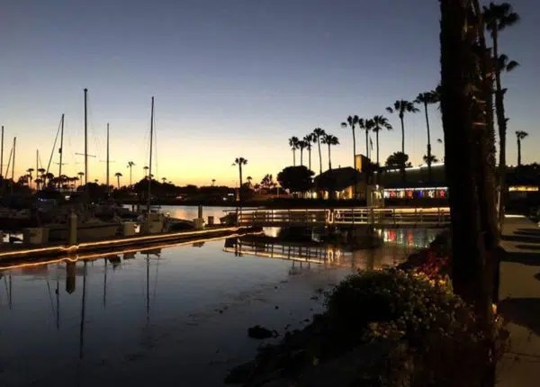 Safe Harbor Bayfront