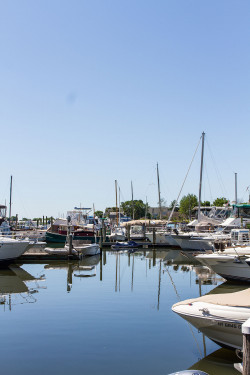 Harbor Crab Company