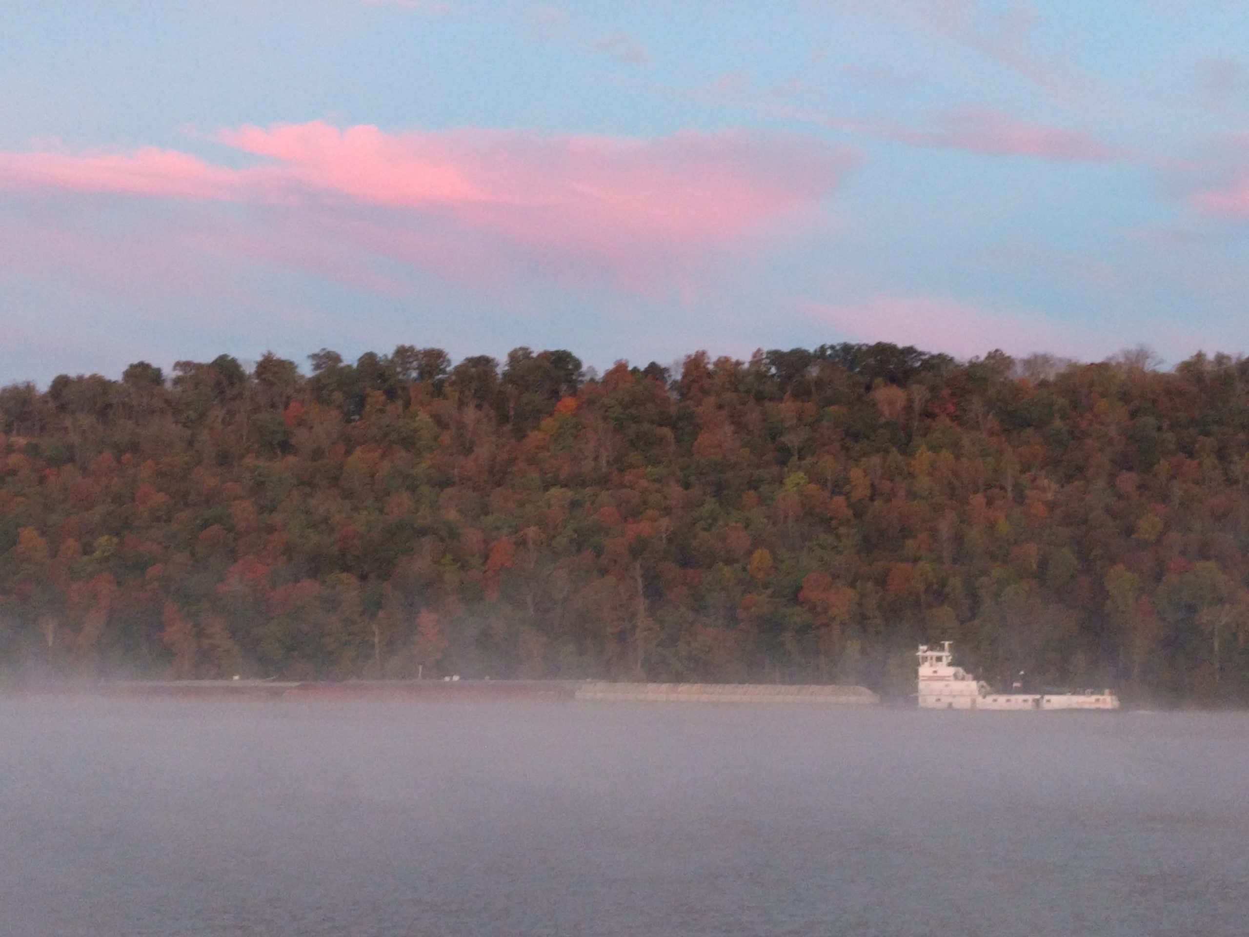 Rose Island Yacht Club
