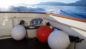 Delta Marine Service, Ltd